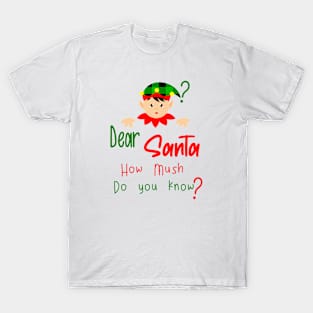 Christmas Santa how much you know T-Shirt